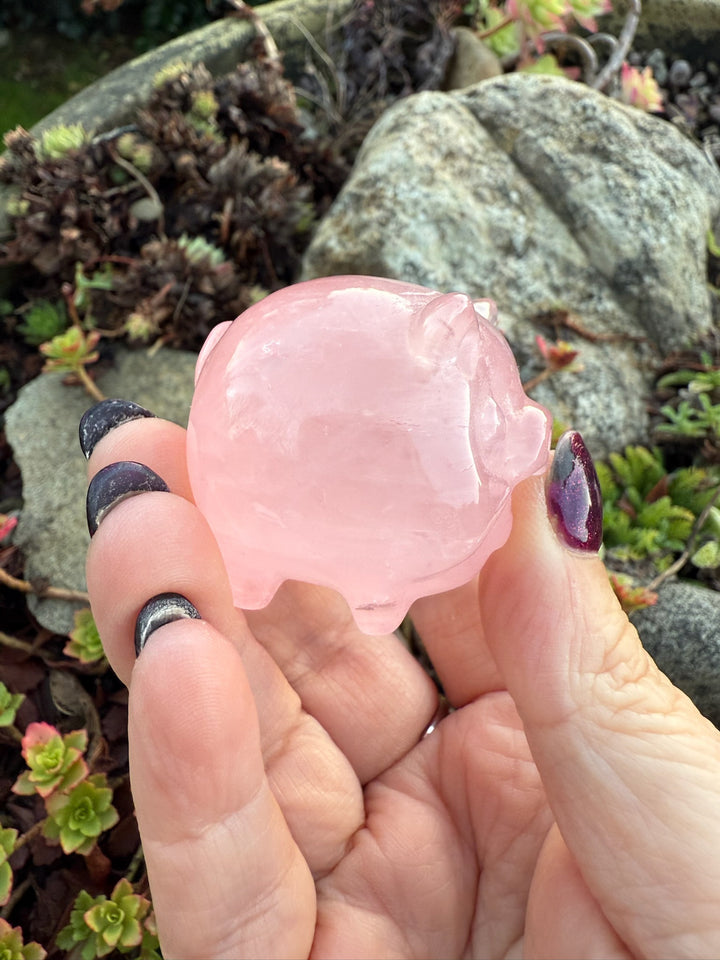 Gemmy Star Rose Quartz Pig Carving