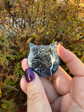 Load image into Gallery viewer, Fossilised Palm Root Kitty Cat Head Carving
