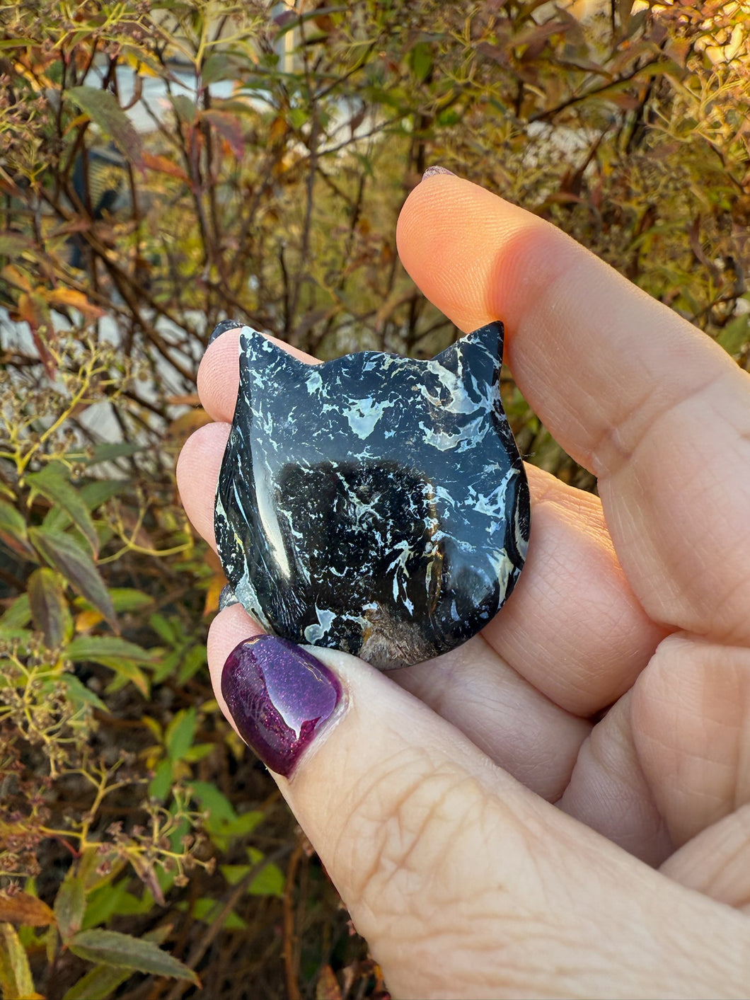 Fossilised Palm Root Kitty Cat Head Carving