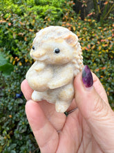 Load image into Gallery viewer, Jasper Hedgehog Carving
