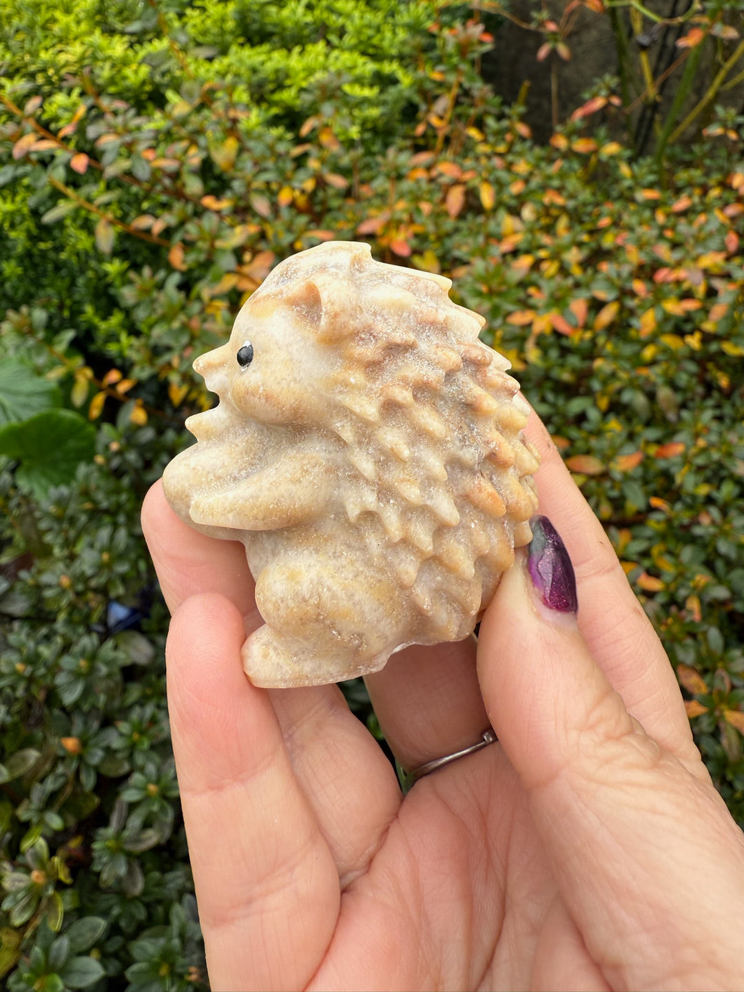 Jasper Hedgehog Carving