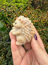 Load image into Gallery viewer, Jasper Hedgehog Carving
