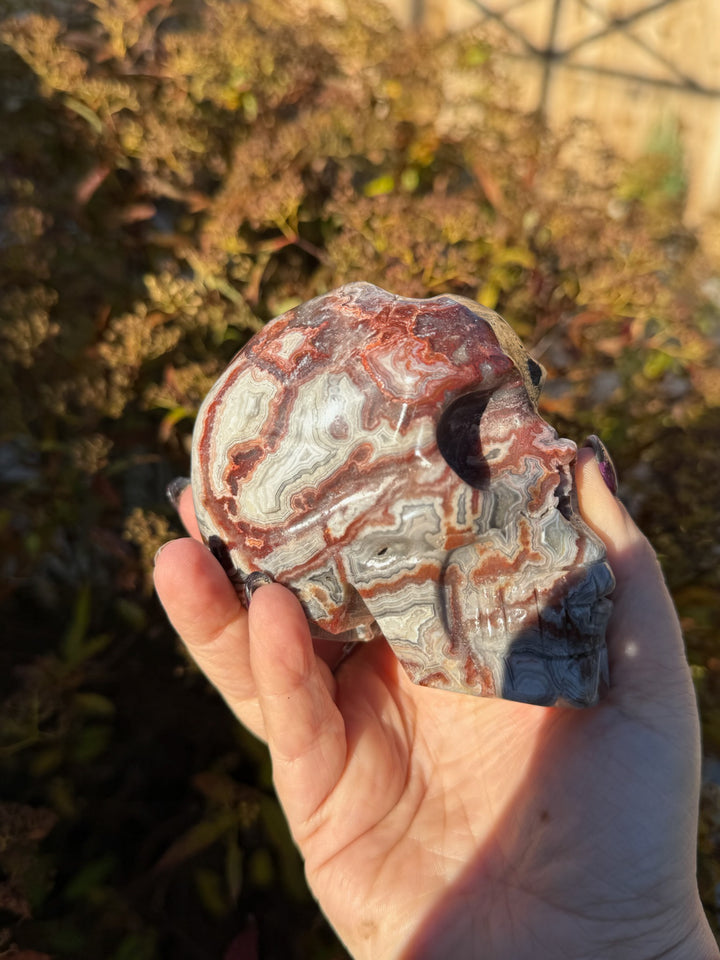 Druzy Crazy Lace Agate Skull Carving