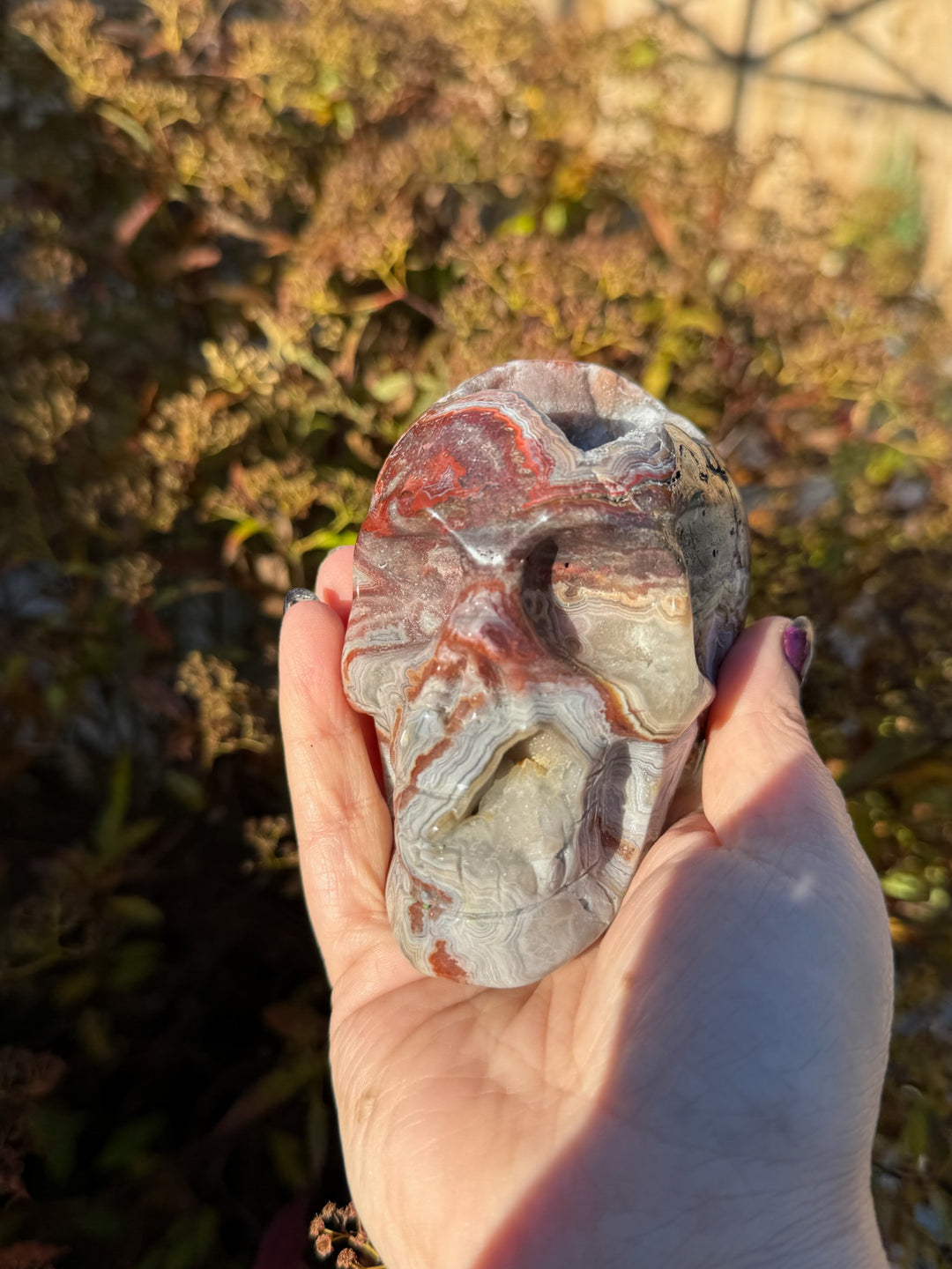 Druzy Crazy Lace Agate Skull Carving