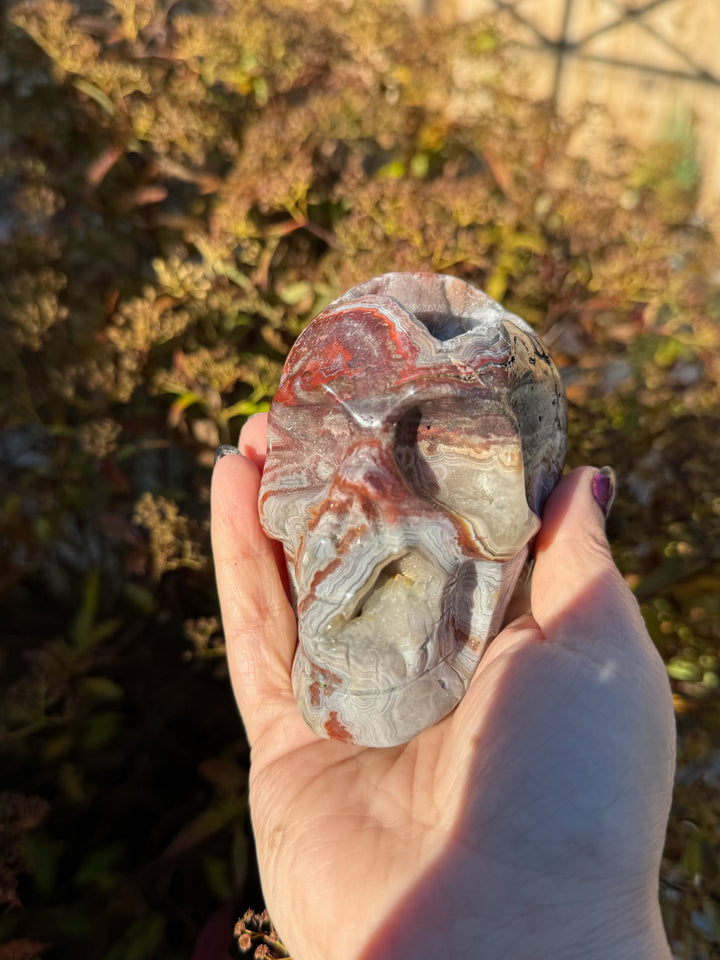 Druzy Crazy Lace Agate Skull Carving