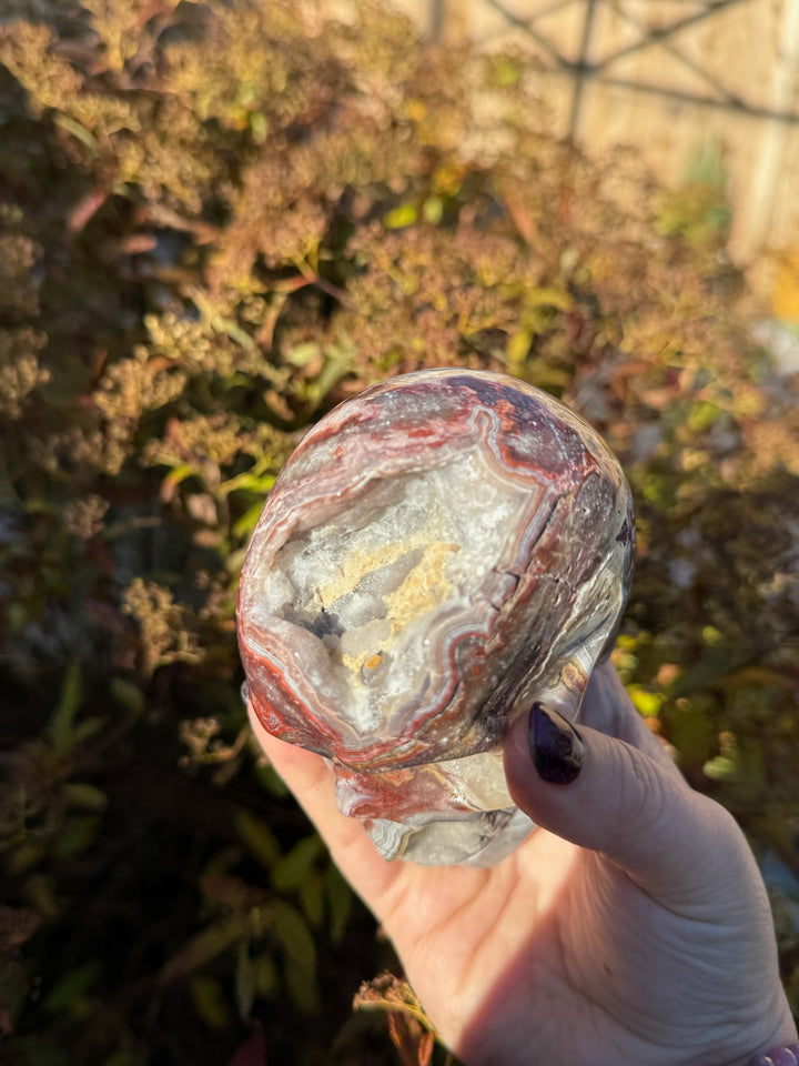 Druzy Crazy Lace Agate Skull Carving