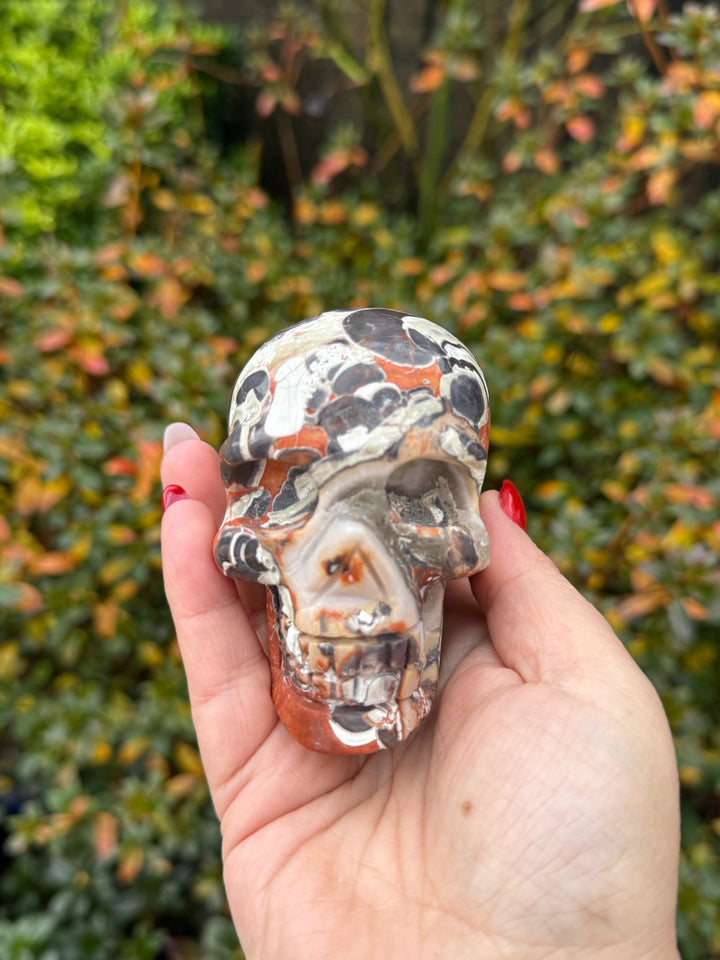 Money Agate Skull Carving