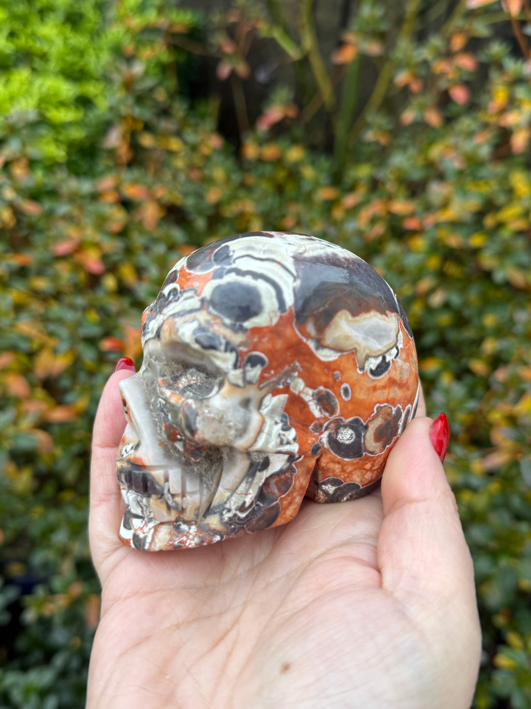 Money Agate Skull Carving