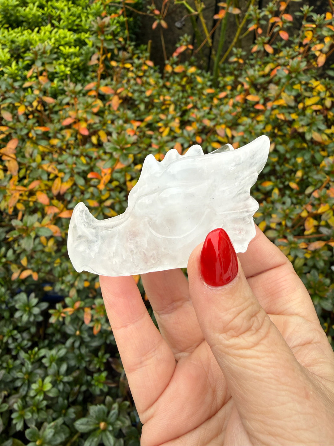 Quartz Dragon Head Carving