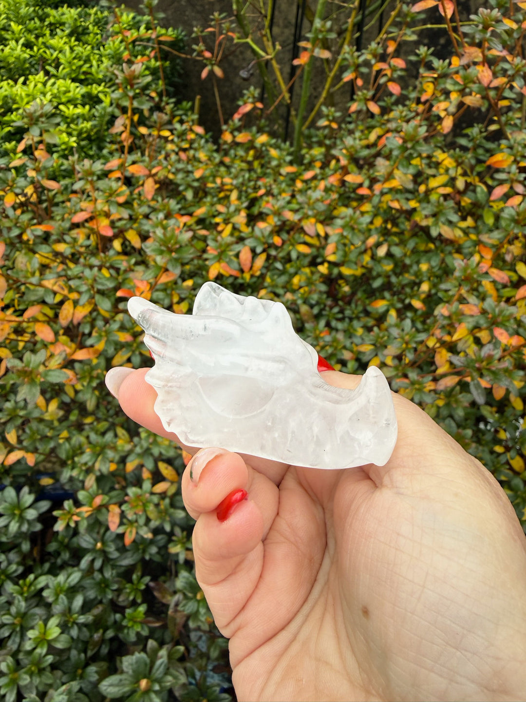 Quartz Dragon Head Carving
