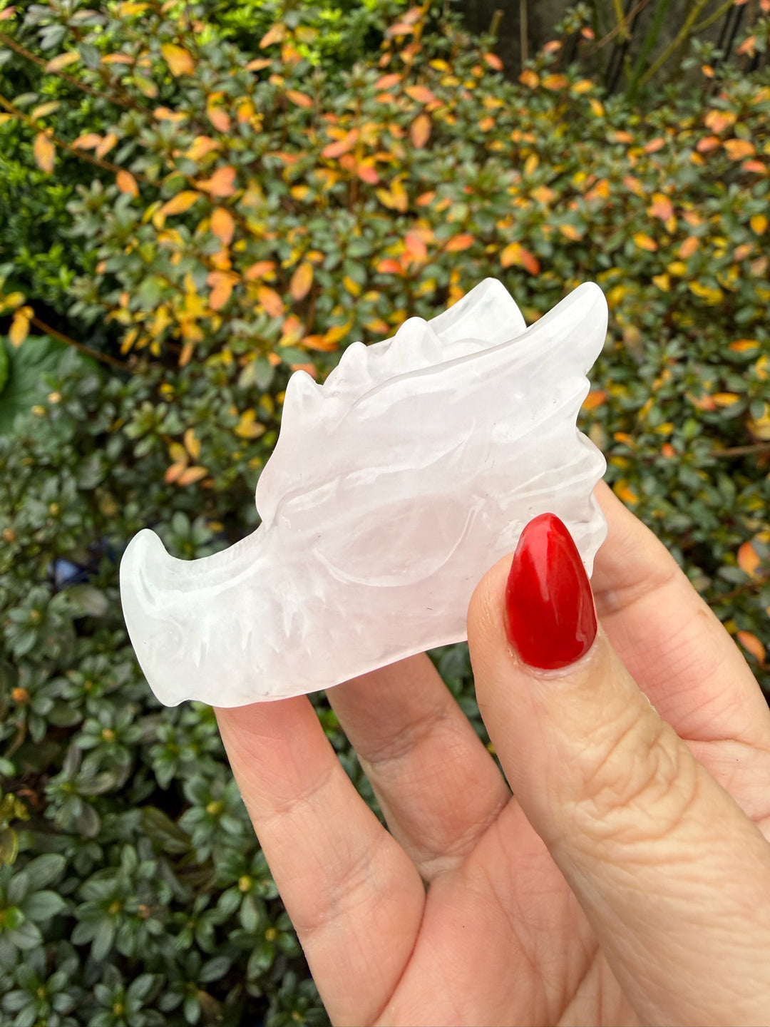 Rose Quartz Dragon Head Carving