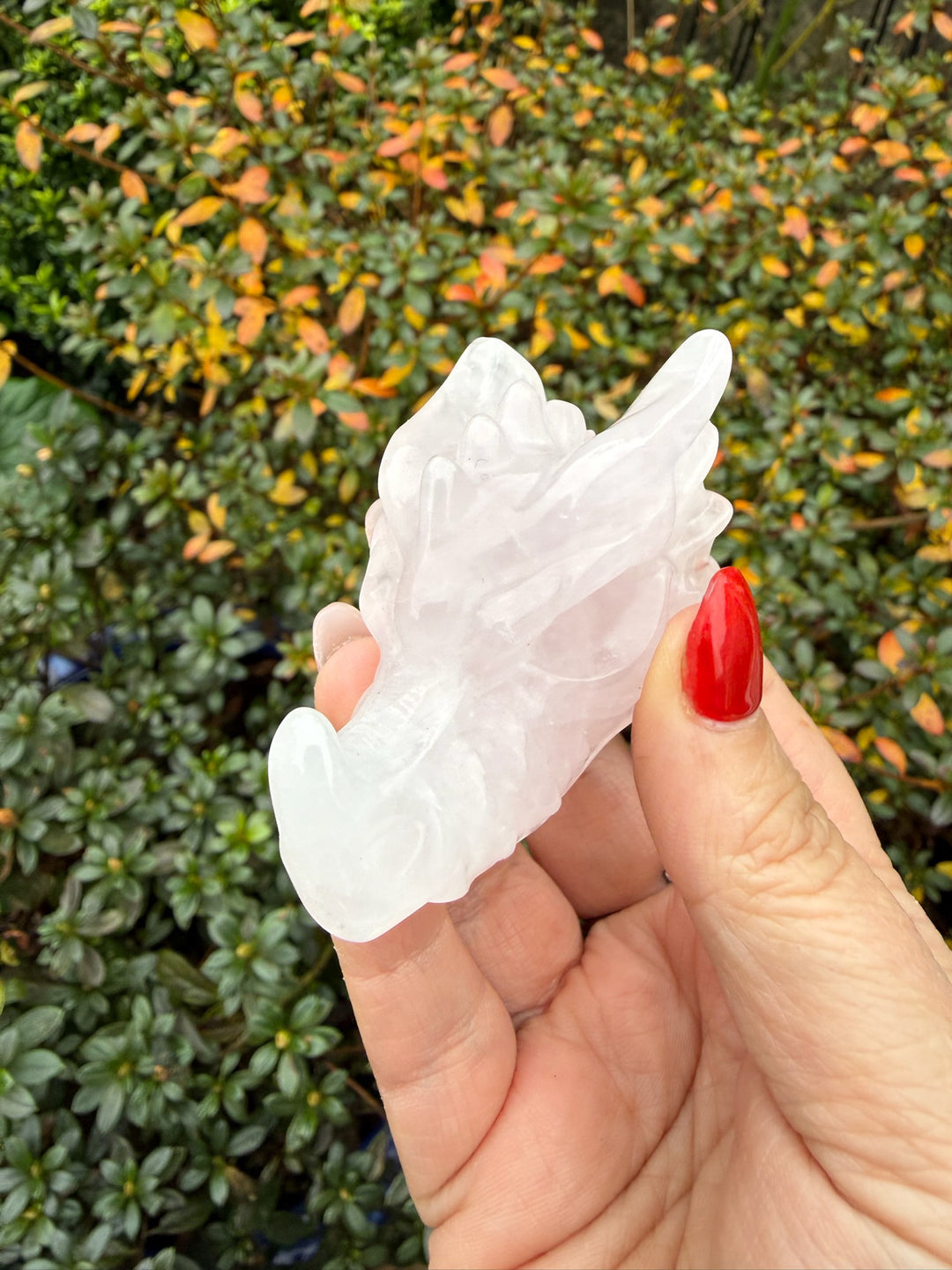 Rose Quartz Dragon Head Carving