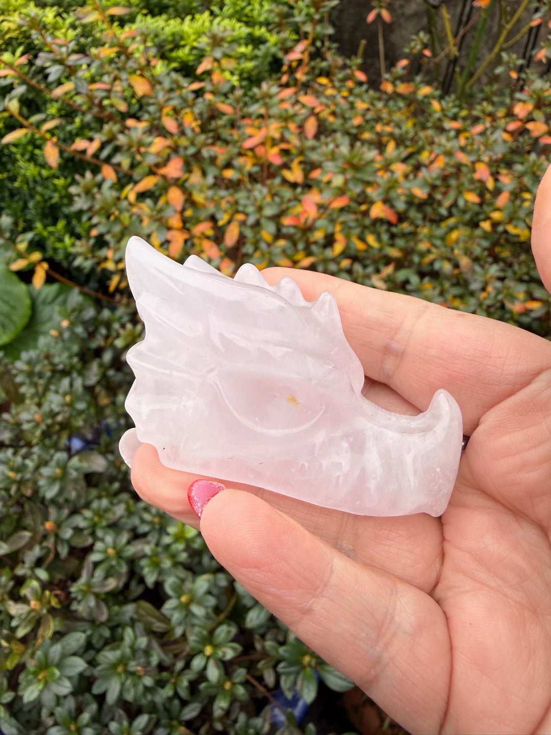 Rose Quartz Dragon Head Carving