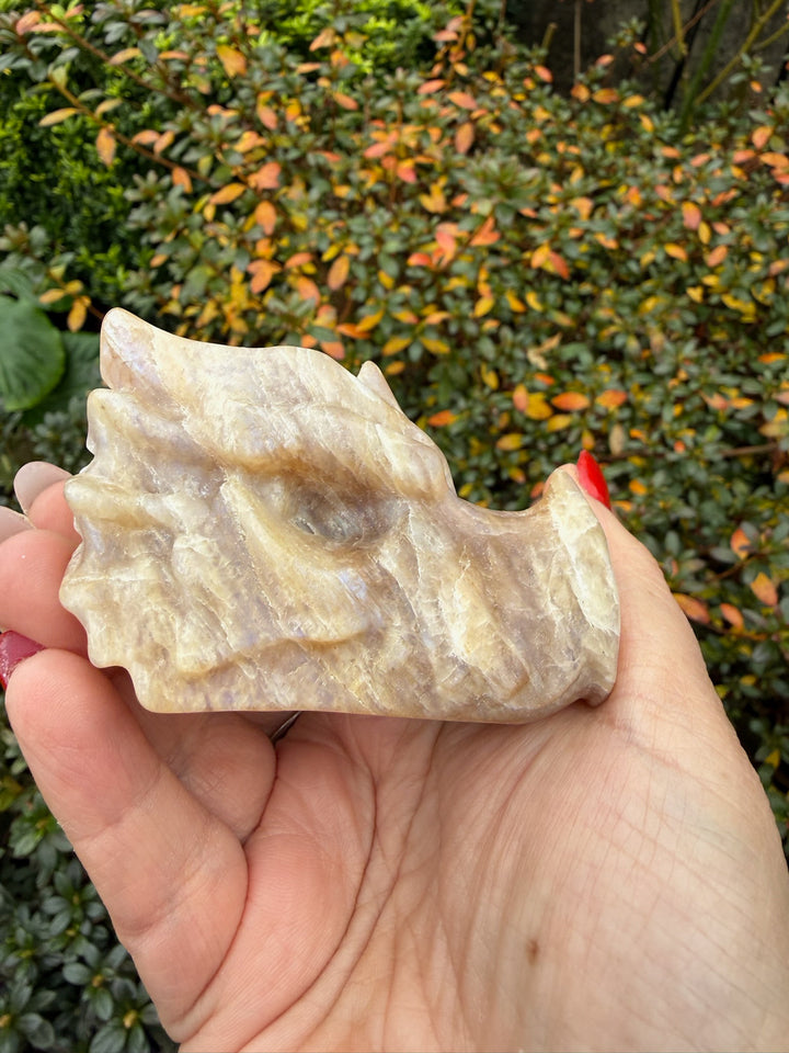 Moonstone Dragon Head Carving