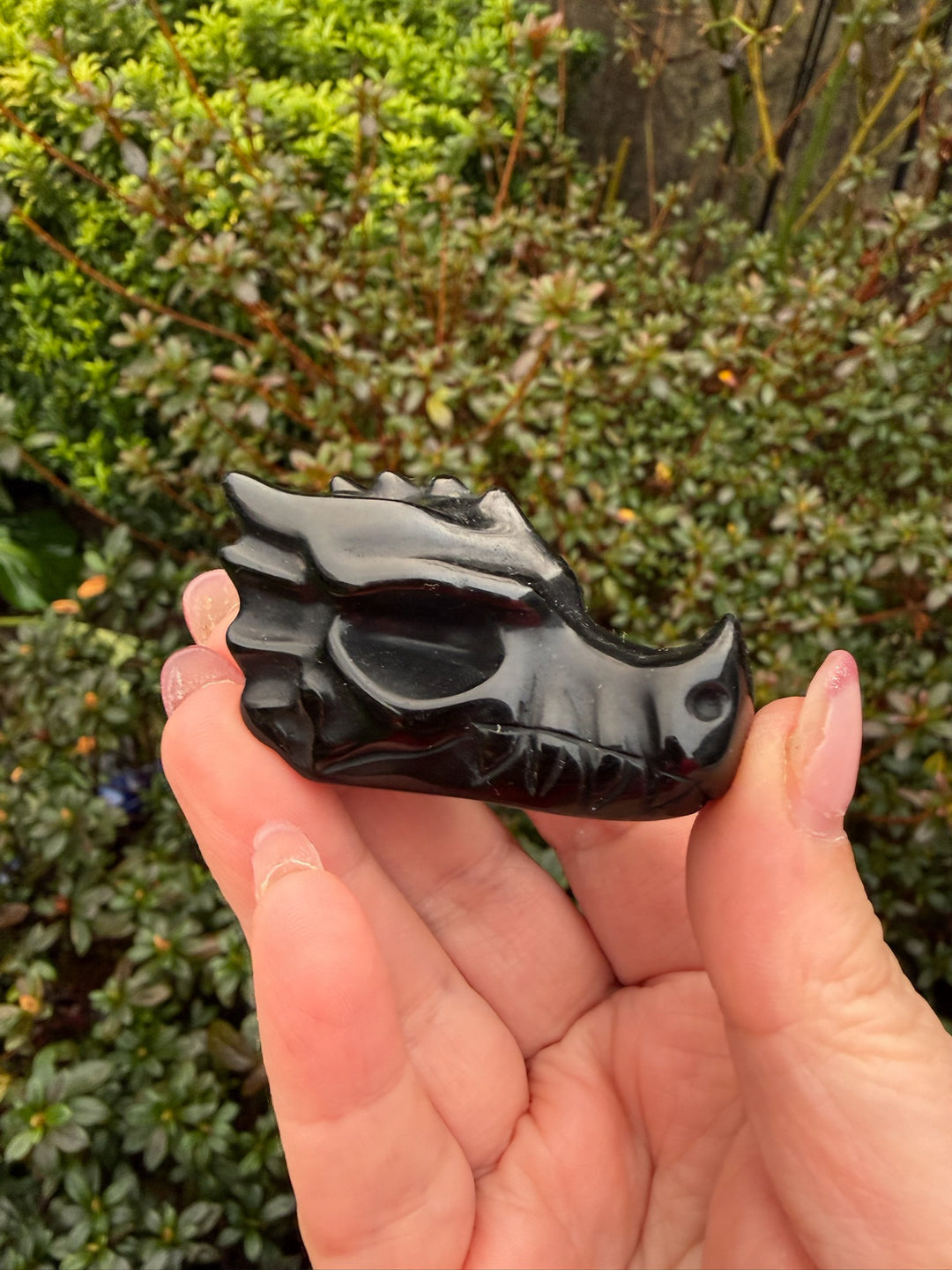 Black Obsidian Dragon Head Carving