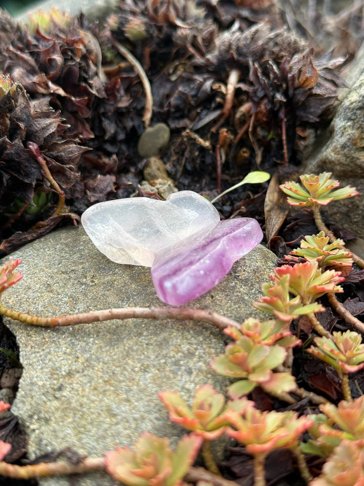 Fluorite 3d Butterfly Carving