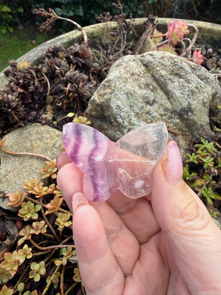 Fluorite 3d Butterfly Carving