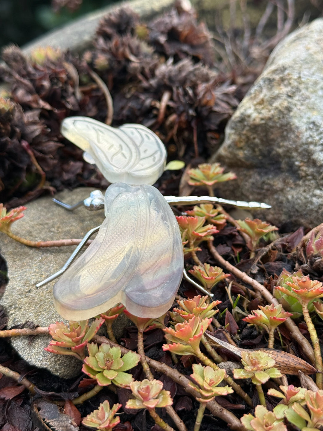 Fluorite Dragonfly Carving