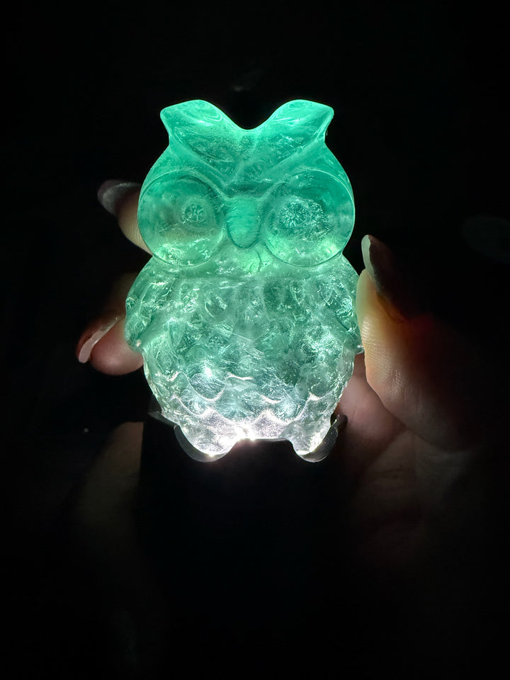 Fluorite Owl Carving