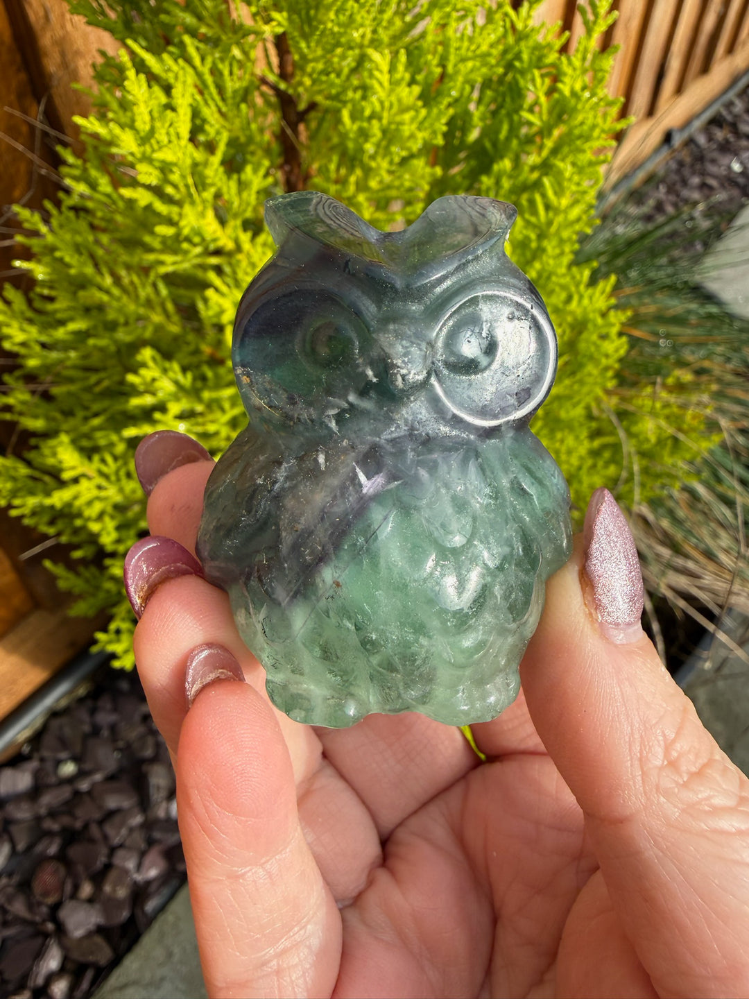 Fluorite Owl Carving