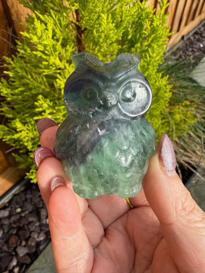 Fluorite Owl Carving