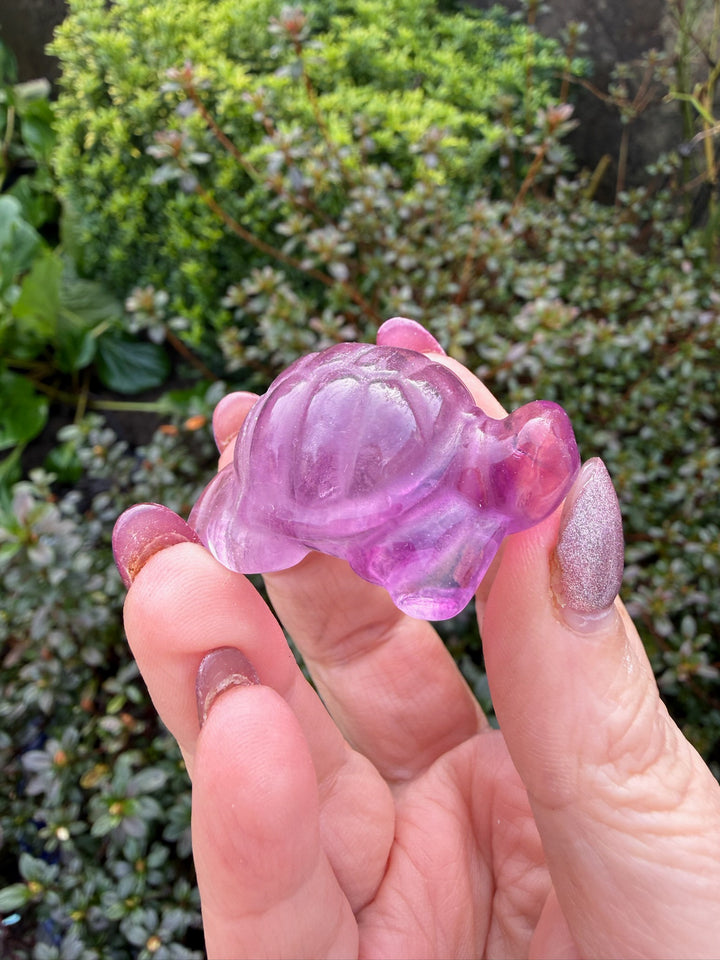 Jelly Purple Fluorite Tortoise Carving