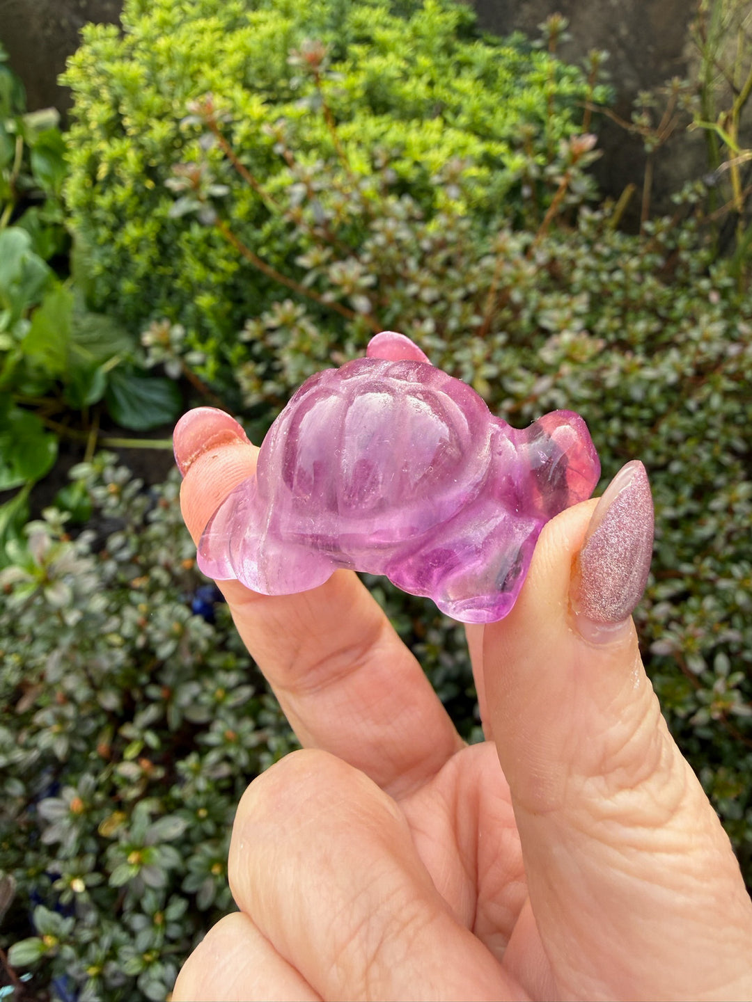 Jelly Purple Fluorite Tortoise Carving