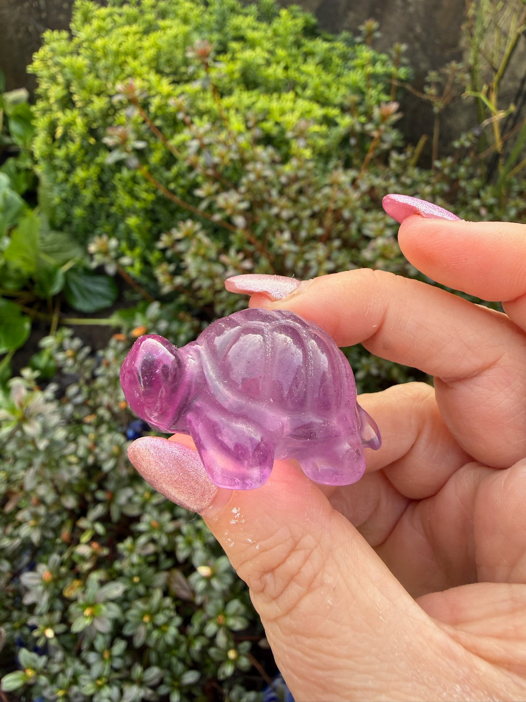 Jelly Purple Fluorite Tortoise Carving