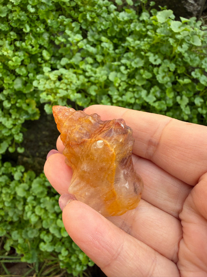 Yellow Fluorite Shell Carving