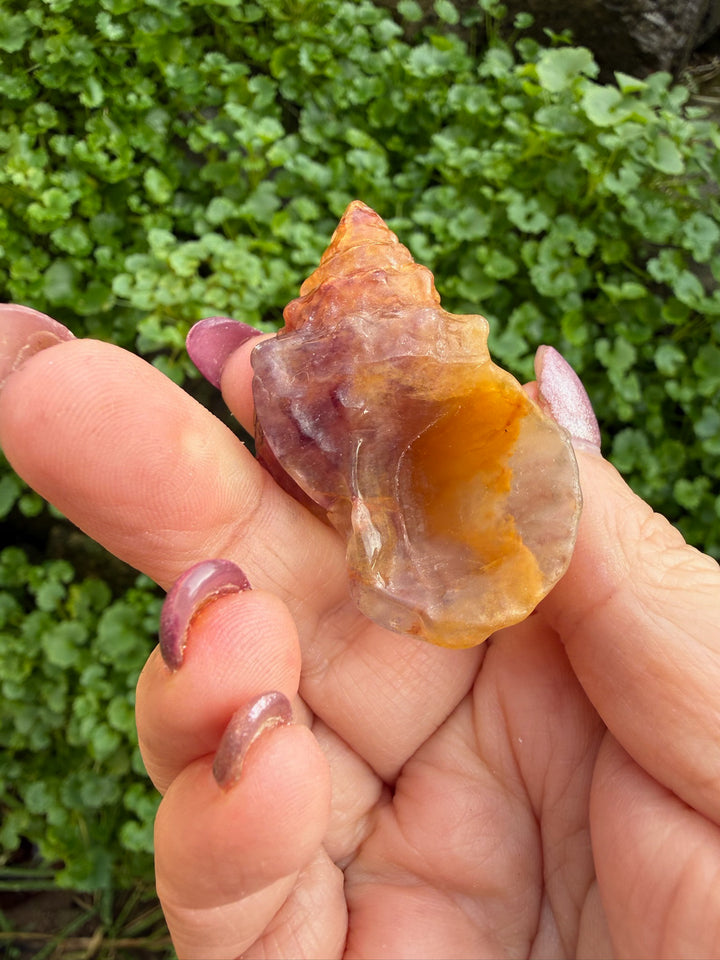 Yellow Fluorite Shell Carving