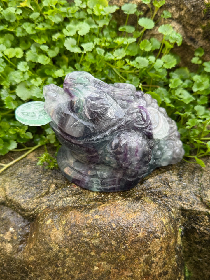 Rainbow Fluorite Money Frog Toad Carving
