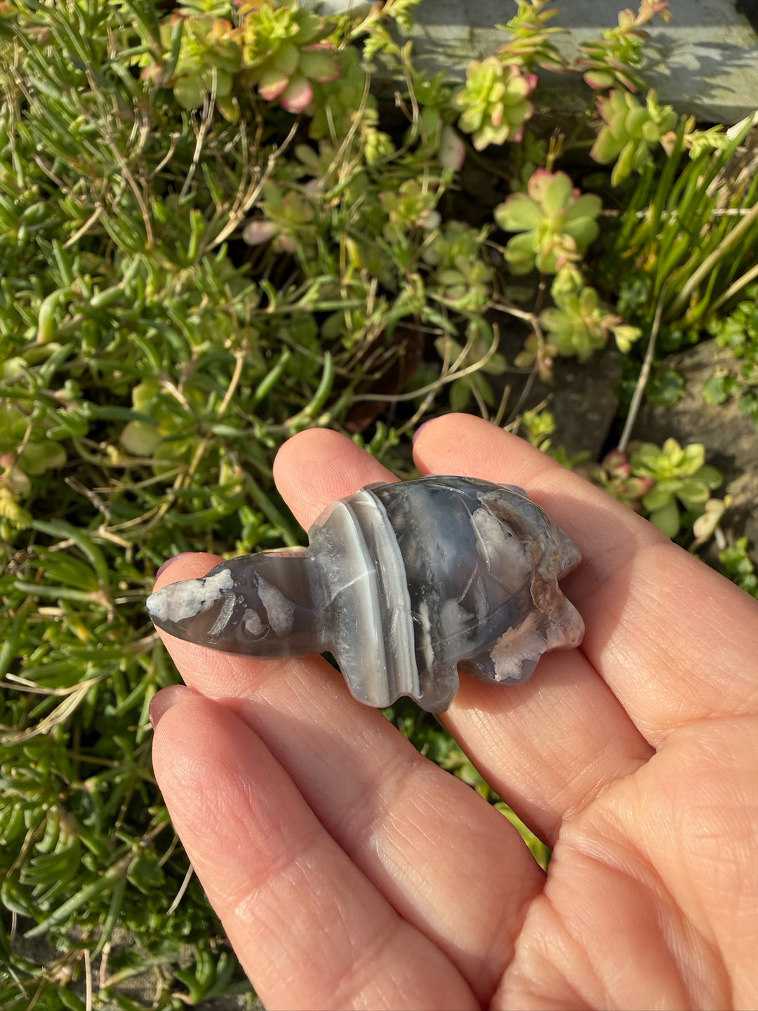 Flower Agate Turtle Carving