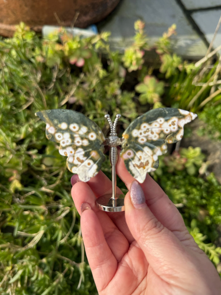 Ocean Jasper OJ Butterfly Carving