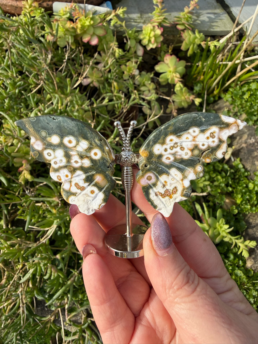 Ocean Jasper OJ Butterfly Carving