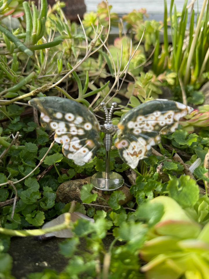 Ocean Jasper OJ Butterfly Carving
