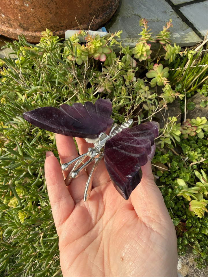 Fluorite Butterfly Carving