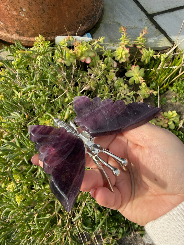 Fluorite Butterfly Carving