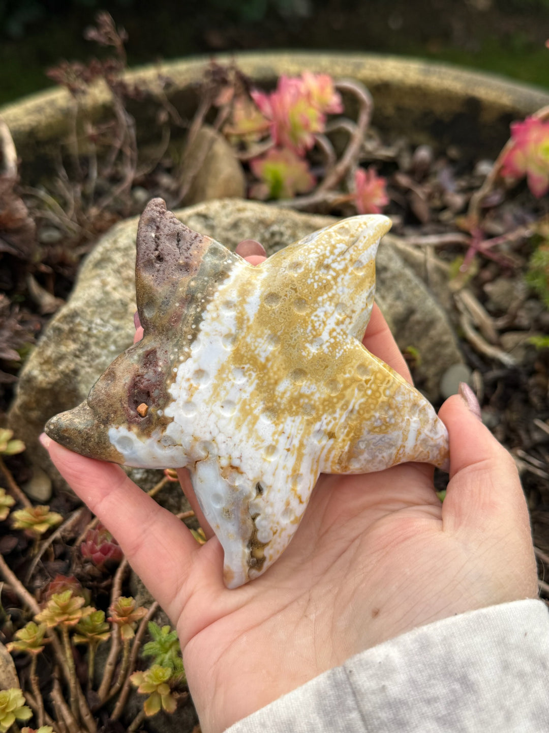 Large Ocean Jasper Starfish Carving