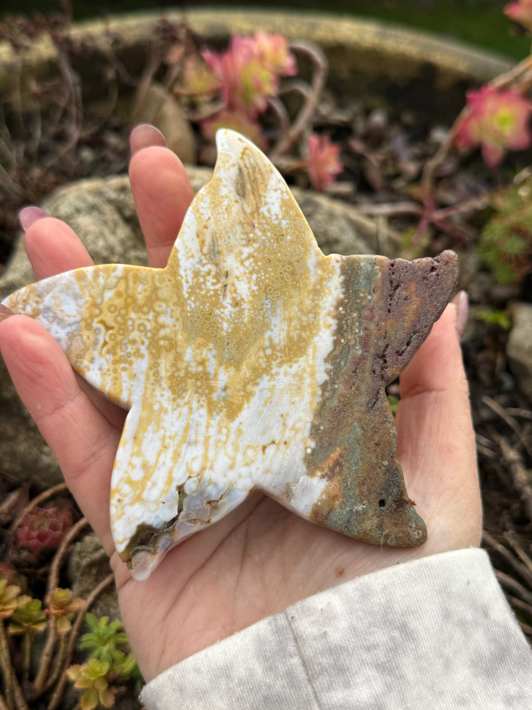 Large Ocean Jasper Starfish Carving