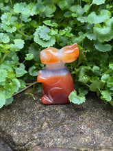 Load image into Gallery viewer, Natural Agate Carnelian Bunny Rabbit Carving

