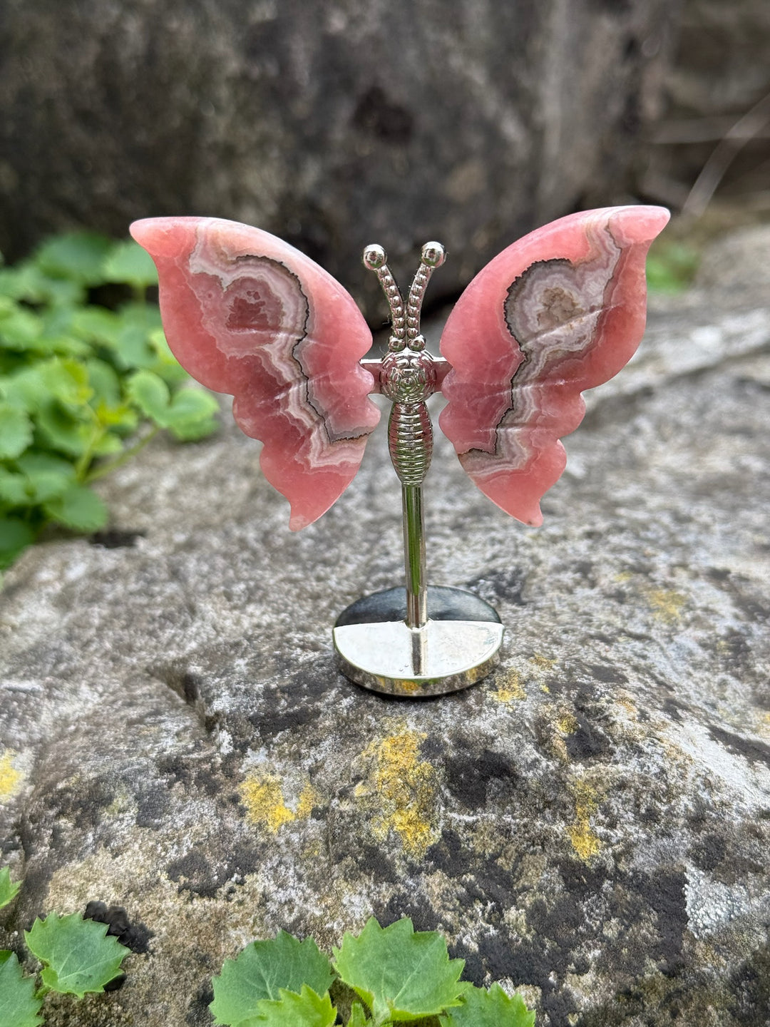 Rhodochrosite Butterfly Wings Carving and Stand