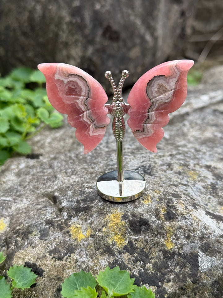 Rhodochrosite Butterfly Wings Carving and Stand