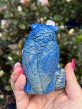 Load image into Gallery viewer, High Quality Lapis Lazuli Owl Carving
