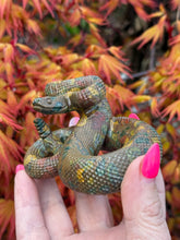 Load image into Gallery viewer, Fruit Jasper Realistic Snake Carving
