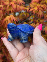 Load image into Gallery viewer, Quality Lapis Lazuli Tortoise Carving
