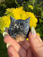 Load image into Gallery viewer, Fossilised Palm Root Kitty Cat Head Carving
