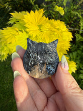 Load image into Gallery viewer, Fossilised Palm Root Kitty Cat Head Carving
