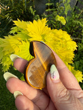 Load image into Gallery viewer, High Quality Tigers Eye Ammonite Carving
