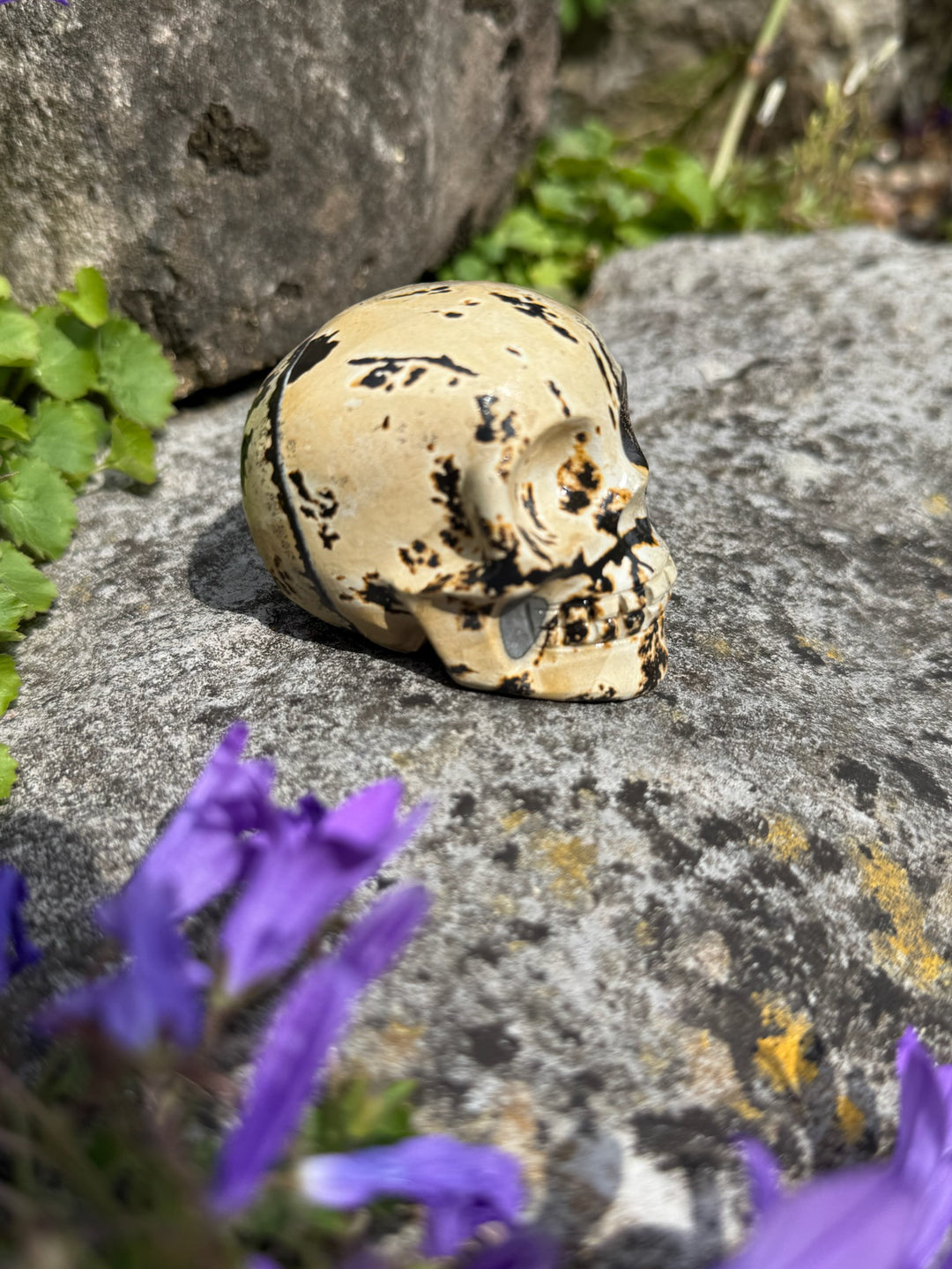 Picture Jasper with Dendrities Skull Carving