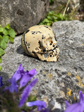 Load image into Gallery viewer, Picture Jasper with Dendrities Skull Carving
